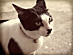 View full size picture