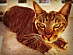 View full size picture