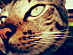View full size picture