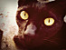 View full size picture