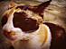View full size picture