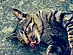View full size picture