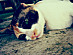 View full size picture