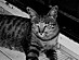 View full size picture