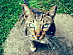 View full size picture