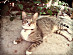 View full size picture