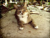 View full size picture