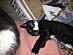 View full size picture