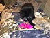 View full size picture