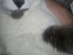 View full size picture