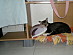 View full size picture