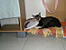 View full size picture