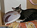 View full size picture