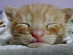 View full size picture