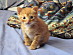 View full size picture