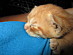 View full size picture