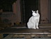 View full size picture