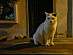 View full size picture
