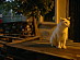 View full size picture