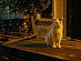 View full size picture