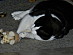 View full size picture