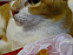 View full size picture