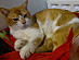 View full size picture