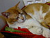 View full size picture