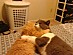 View full size picture