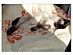 View full size picture