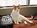 View full size picture