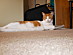 View full size picture