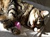 View full size picture