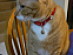 View full size picture