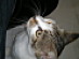 View full size picture