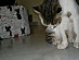 View full size picture