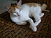 View full size picture