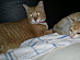 View full size picture