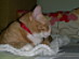 View full size picture