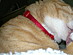 View full size picture