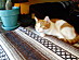 View full size picture