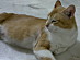 View full size picture