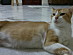 View full size picture