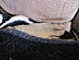View full size picture