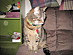 View full size picture