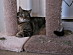 View full size picture
