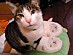 View full size picture