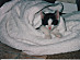 View full size picture