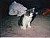View full size picture