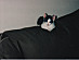 View full size picture